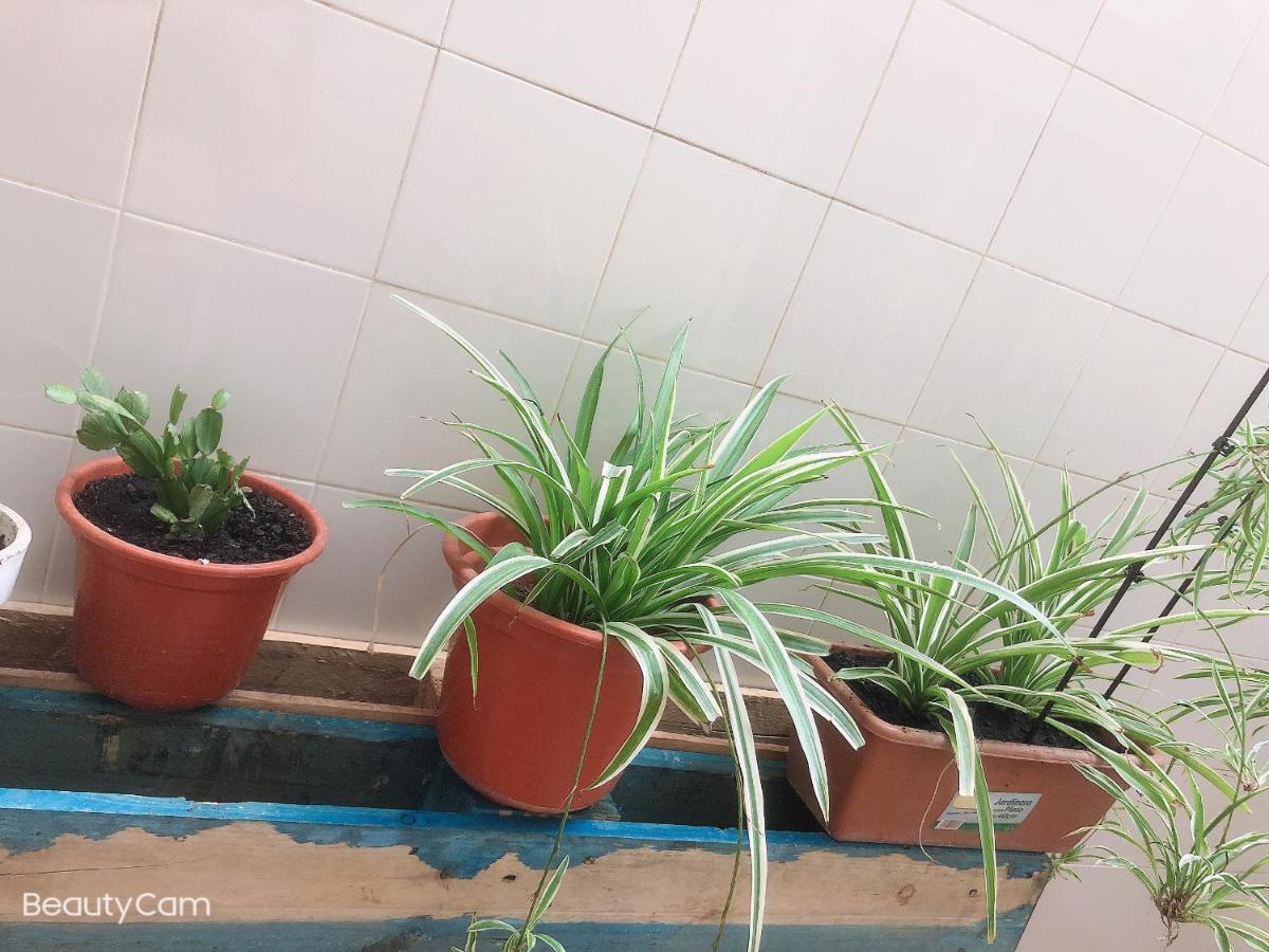 Apartament Jiaqi Casa Alicante Zewnętrze zdjęcie